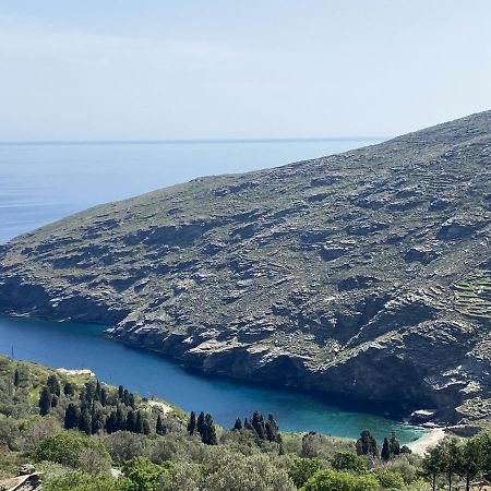 Sineti Andros Vineyard House With Sea View 아파트 외부 사진