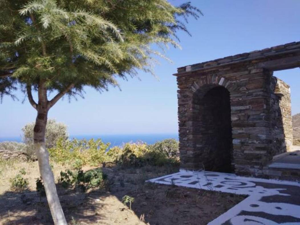 Sineti Andros Vineyard House With Sea View 아파트 외부 사진