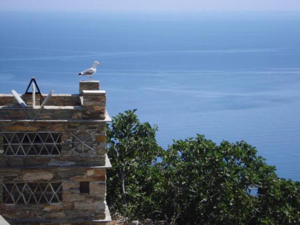 Sineti Andros Vineyard House With Sea View 아파트 외부 사진