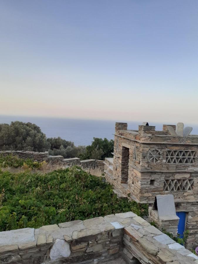 Sineti Andros Vineyard House With Sea View 아파트 외부 사진
