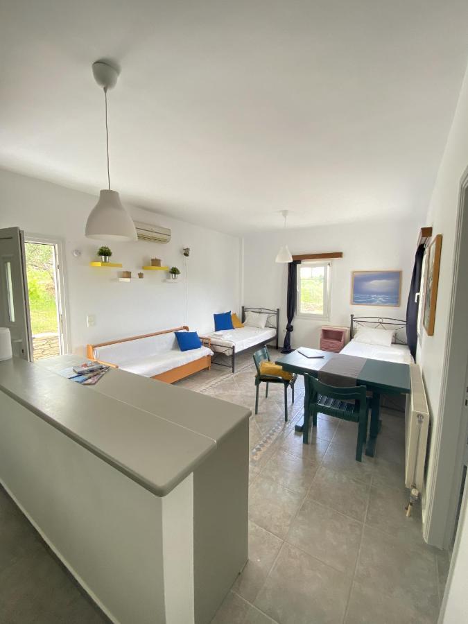 Sineti Andros Vineyard House With Sea View 아파트 외부 사진