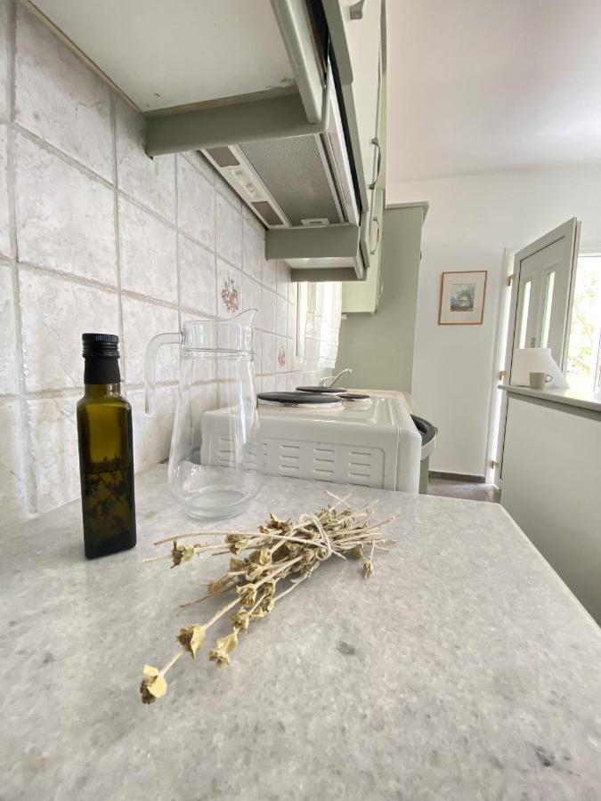 Sineti Andros Vineyard House With Sea View 아파트 외부 사진
