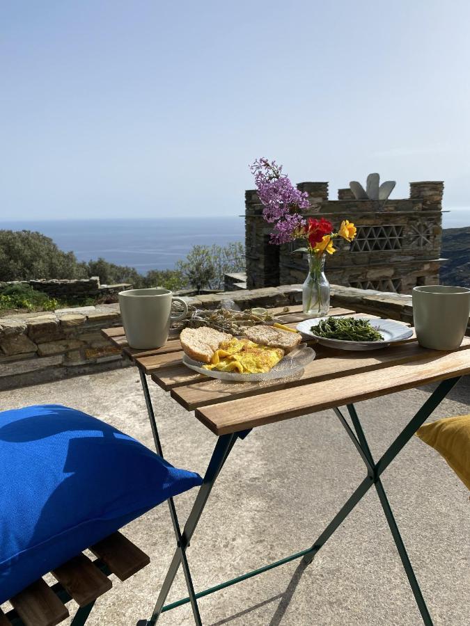 Sineti Andros Vineyard House With Sea View 아파트 외부 사진