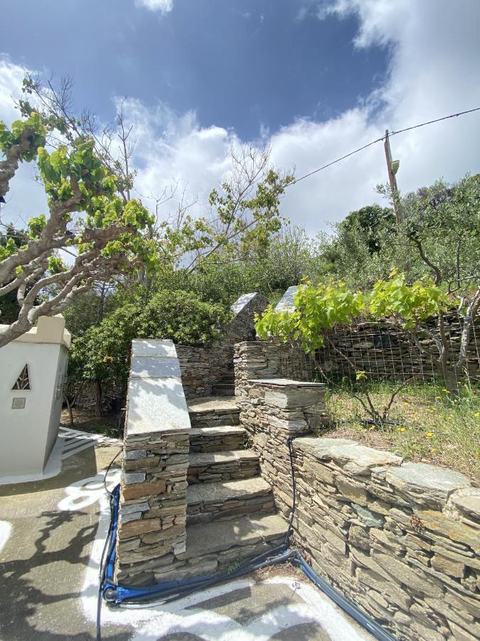 Sineti Andros Vineyard House With Sea View 아파트 외부 사진