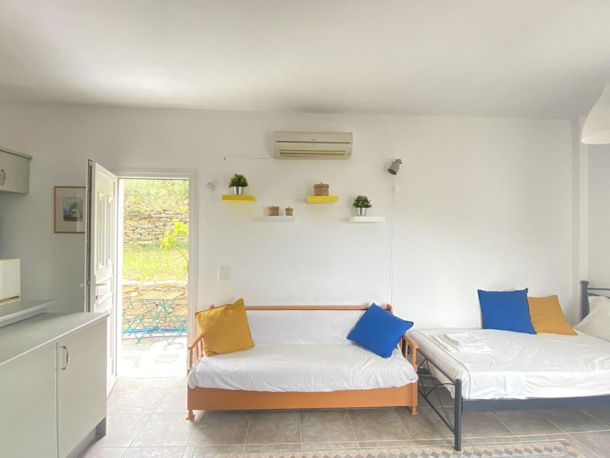 Sineti Andros Vineyard House With Sea View 아파트 외부 사진