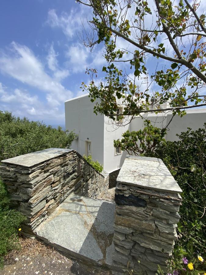 Sineti Andros Vineyard House With Sea View 아파트 외부 사진