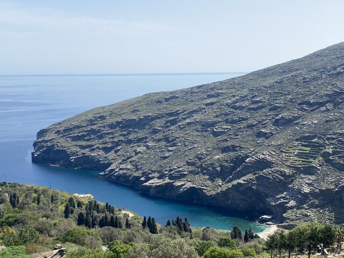 Sineti Andros Vineyard House With Sea View 아파트 외부 사진
