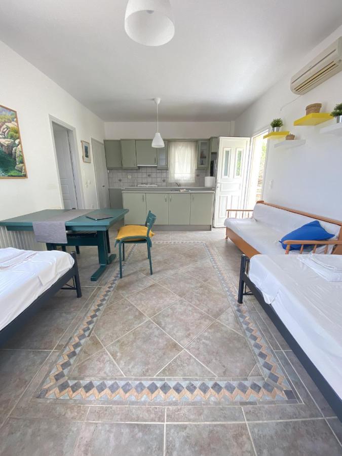 Sineti Andros Vineyard House With Sea View 아파트 외부 사진