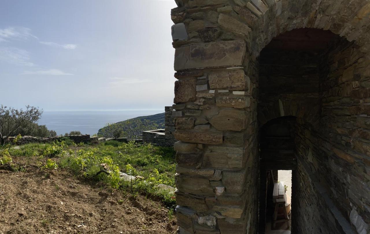 Sineti Andros Vineyard House With Sea View 아파트 외부 사진