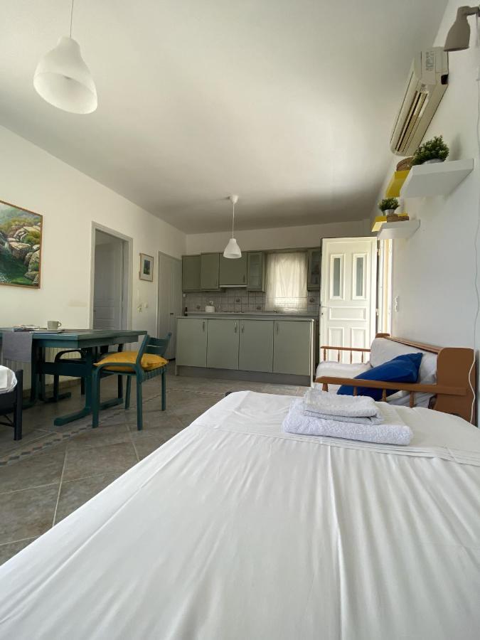 Sineti Andros Vineyard House With Sea View 아파트 외부 사진