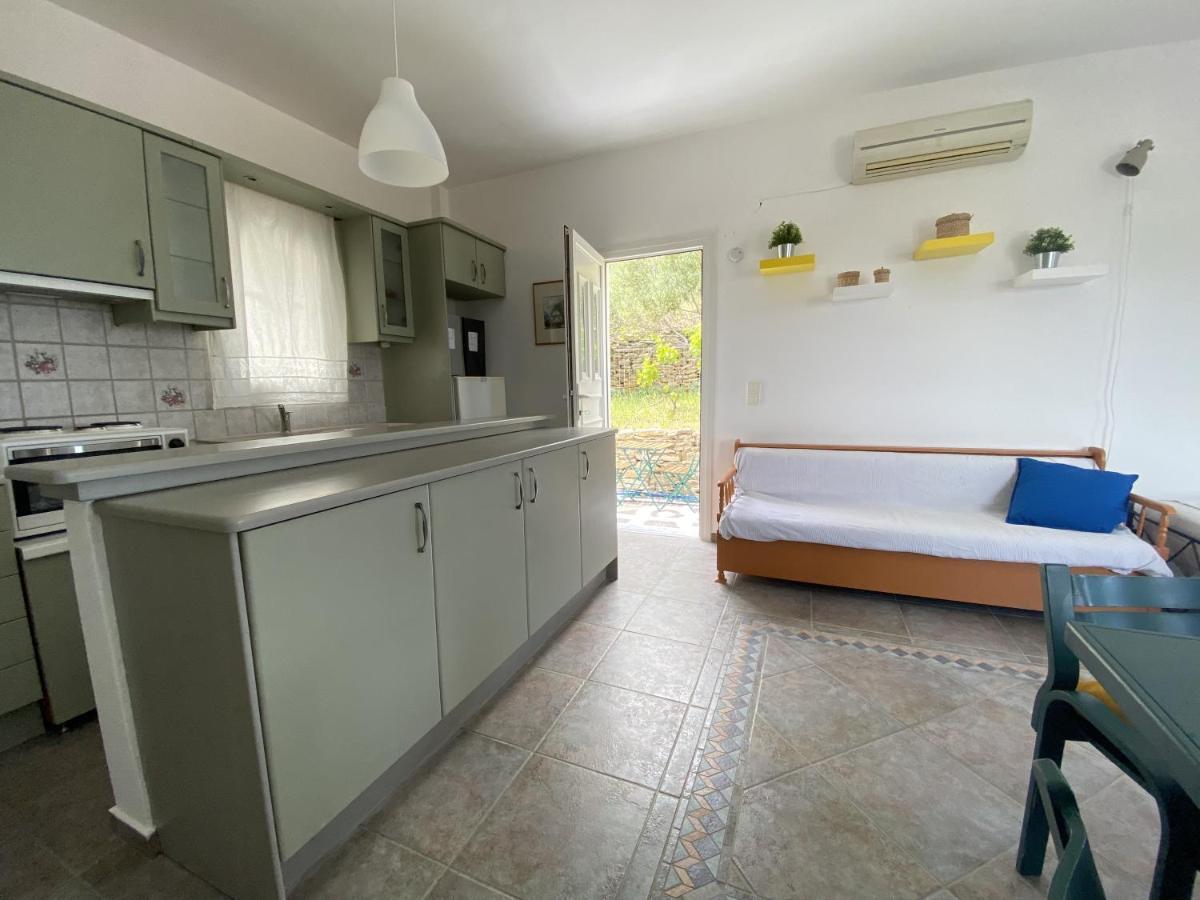 Sineti Andros Vineyard House With Sea View 아파트 외부 사진